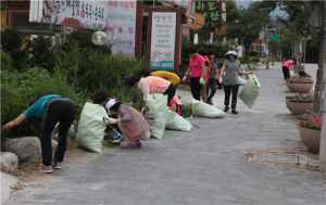 함양읍 “제11회 산삼축제” 대비 환경정화 활동