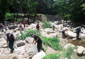 산림정화보호구역 집중 단속