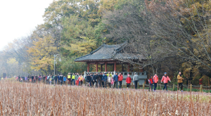 가을을 걷다 상림을 걷다