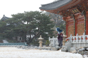 바람아 멈추어다오!