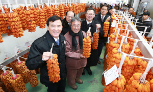 임금님께 진상하던 명품 함양곶감 초매식 열려