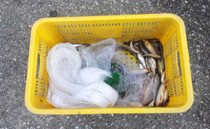 함부로 고기잡다가는 과태료 500만원까지 문다