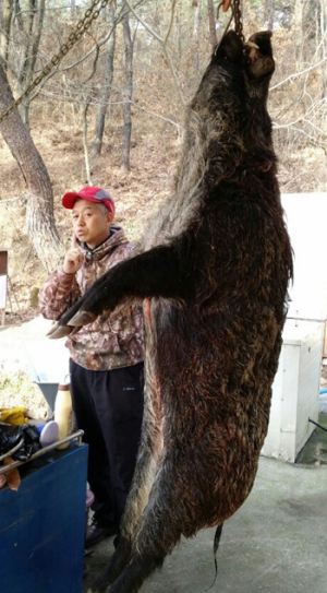 농작물 보호 위해 유해야생동물 대리포획단 운영 