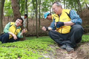 임창호 함양군수, 산양삼지킴이 활동 현장 점검  