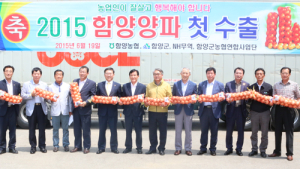 함양양파 대만 첫 수출길 올라