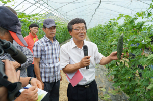 “꿀벌 이용하면 여주 착과율 90%이상 향상”