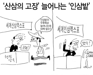 2015년 7월 6일 제575호