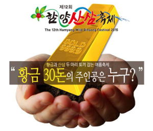 ‘브라보 경남, 함양에서 ‘황금산삼을 찾아라’ 