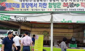 항암 성분 풍부한 지리산복분자 수도권주민공략 판촉전