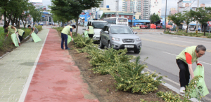 함양읍, 제12회 산삼축제 맞이 환경정화활동 실시 
