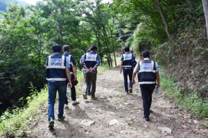 서부지방산림청, 이끼류 불법채취 행위 강력 단속