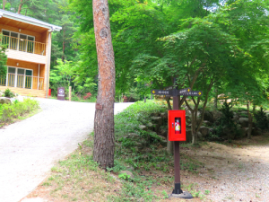 국립자연휴양림, 산불 등 각종 화재 제로 도전 순항~~!