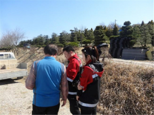 재선충병 확산하는 소나무류 이동 특별단속