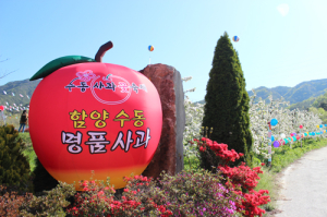 사과꽃향기 가득한 행복축제 어때요~