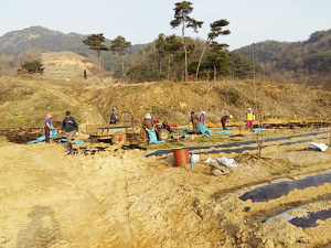 닥나무의 본고장으로도 거듭날까
