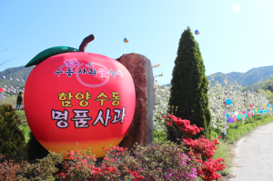 사과꽃향 가득한 수동사과꽃축제 23일 팡파르 