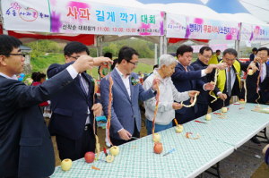 사과꽃향에 흠뻑 취한 수동사과꽃축제 성료 