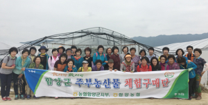 함양농협 주부 농산물 체험 구매단, 거창 농가 방문