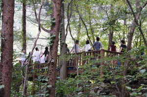 국립자연휴양림, 10월 추천 ‘산음자연휴양림’ 선정