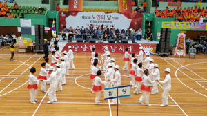 함양노인회, 제20회 노인의 날 기념식 및 경남실버체육대회 참가 