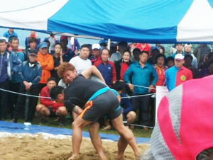 제14회 함양군민 민속씨름대회 성료