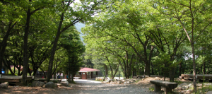 국립자연휴양림, 3월 추천‘유명산자연휴양림’선정