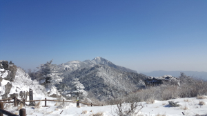 지리산국립공원‘봄 속의 눈꽃 세상’