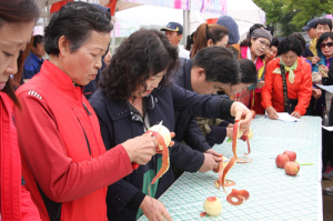 내달 22일 제4회 수동사과꽃축제 개최 확정 