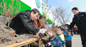 24일 상림오시면 나무 나눠드립니다