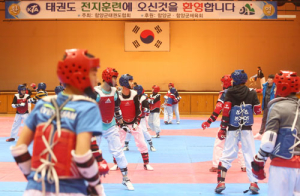 동계전지훈련팀 유치로 11억원 경제효과 ‘대박성과‘