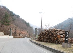 지리산 백무동 상권 침체 무슨 이유로