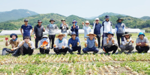 함양교육지원청 양파 수확 봉사활동