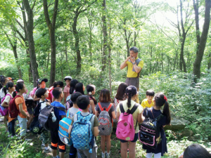 국립자연휴양림, 휴양 아카데미 캠프 참가 단체 모집