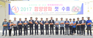 양파 유통의 선두주자 함양농협