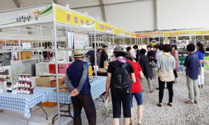 함양군, 산삼축제 농특산물 판매장 참가업체 모집