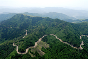 서부지방산림청, “추경예산 임도시설사업 본격화” 