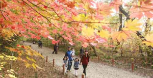 지리산청정고을 함양으로 오세요~