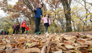 함양군, 11월11일 ‘제5회 단풍맞이 군민건강 걷기대회’