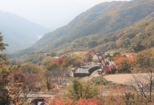 불로초, 서복의 꿈을 찾아서<마지막>