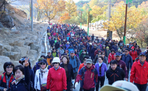 가을 대봉산 걸으며 2020엑스포를 기원하다
