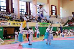 함양군수배 태권도 겨루기 및 품새대회 성료