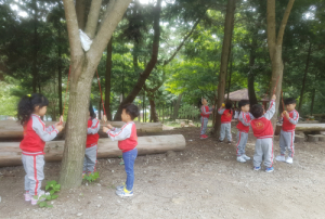 서부지방산림청, 산림교육 일자리 활성화를 위한 위탁 사업 공모 
