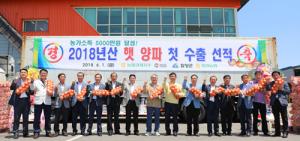 함양양파, 전국 첫 수출길 올라 