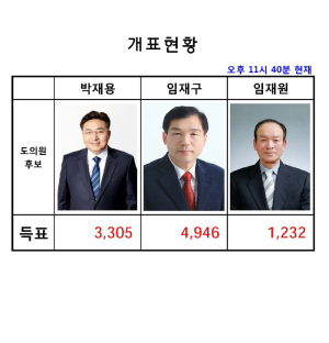 도의원 사전투표 개표완료