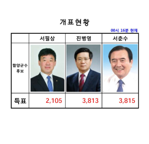 군수 도의원 사전투표 개표완료