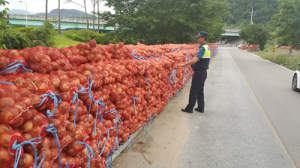 함양경찰서, 양파 수확기 농산물 절도 예방에 주력