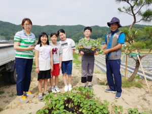목화 모종 기부로 나누고 함께하는 문화 조성
