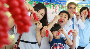 함양군, 제5회 백전오미자축제 9월 8일 개막