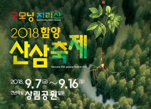 산삼캐는 함양! GoGoGo투어, 함양으로 오세요~ 