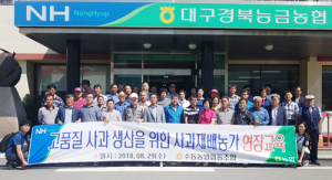 수동농협, 고품질 사과 생산 위한 사과재배농가 현장교육 